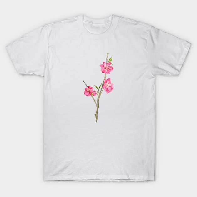 pink peach flowers T-Shirt by colorandcolor